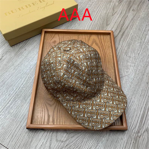 Burberry-Cap(AAA)-106