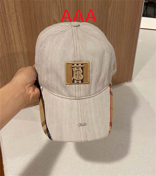 Burberry-Cap(AAA)-137