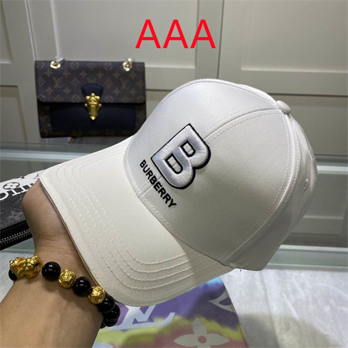 Burberry-Cap(AAA)-179