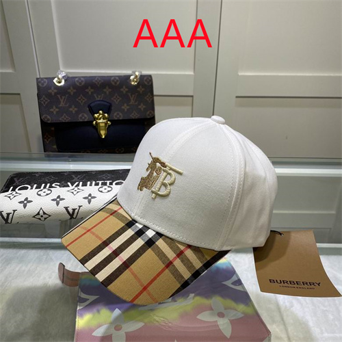 Burberry-Cap(AAA)-182