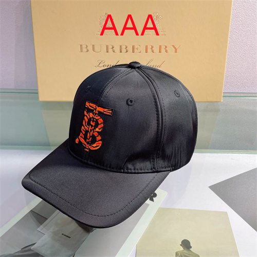 Burberry-Cap(AAA)-070