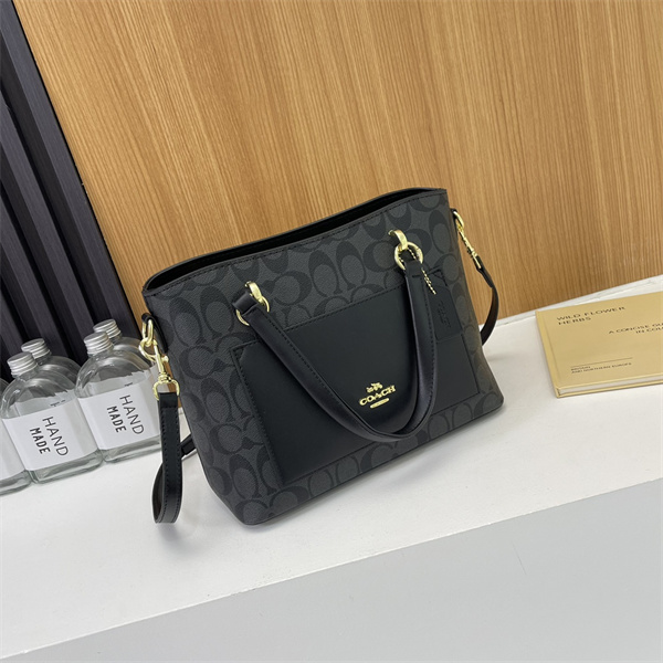 Coach bag-0100