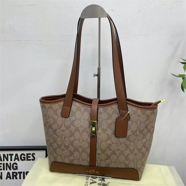 Coach bag-0116