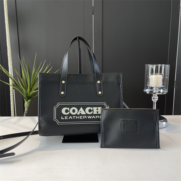 Coach bag-0126