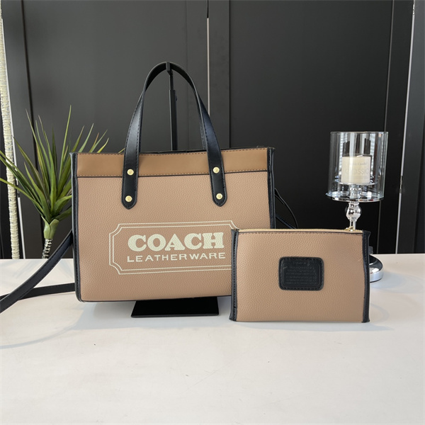 Coach bag-0128