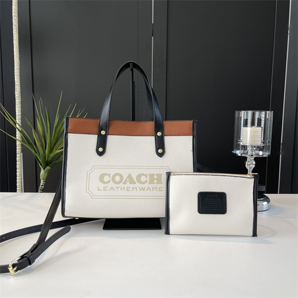 Coach bag-0129