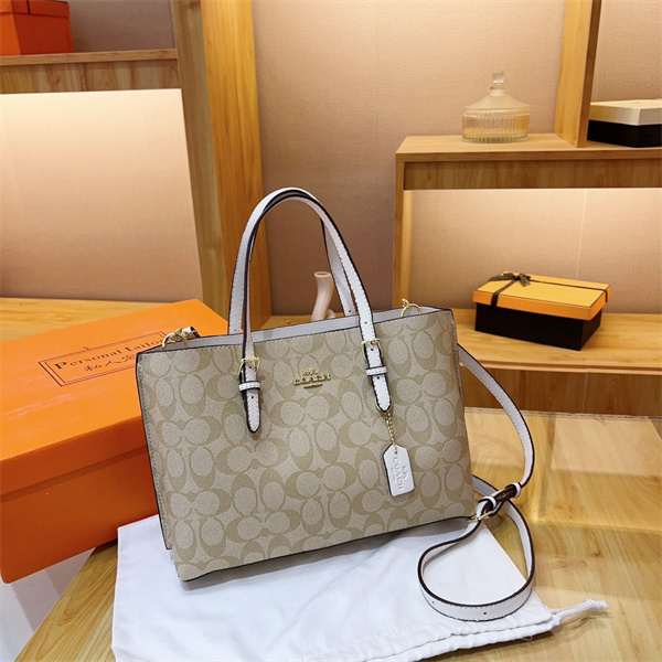 Coach bag-0145