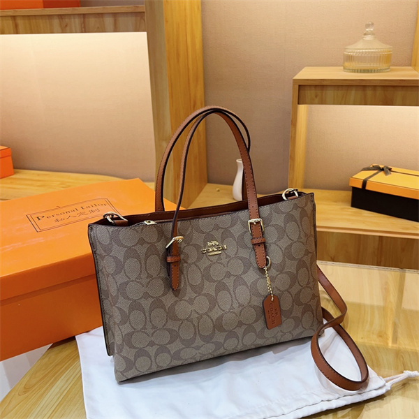 Coach bag-0147