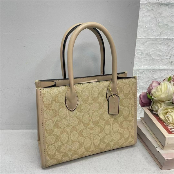 Coach bag-0154