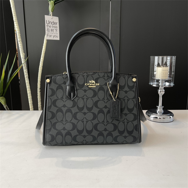 Coach bag-0182