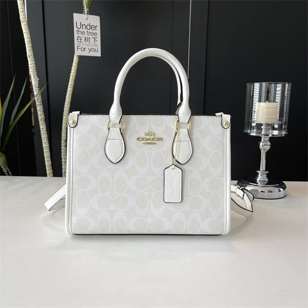Coach bag-0189