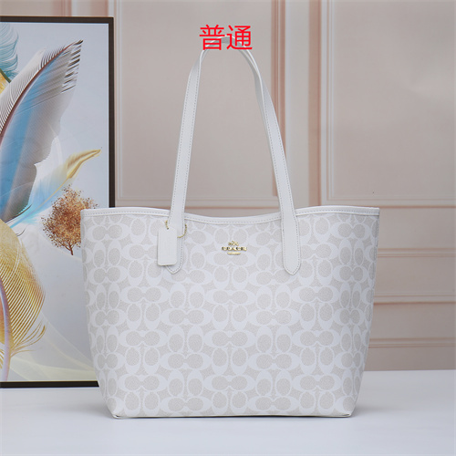 Coach bag-0019