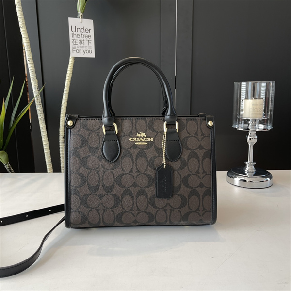 Coach bag-0190