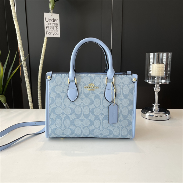 Coach bag-0191