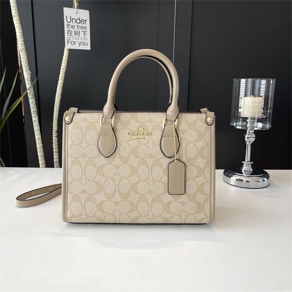 Coach bag-0193