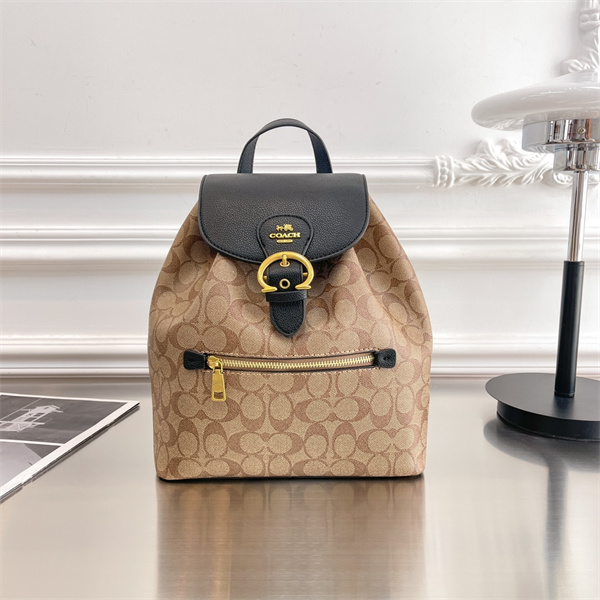 Coach bag-0211