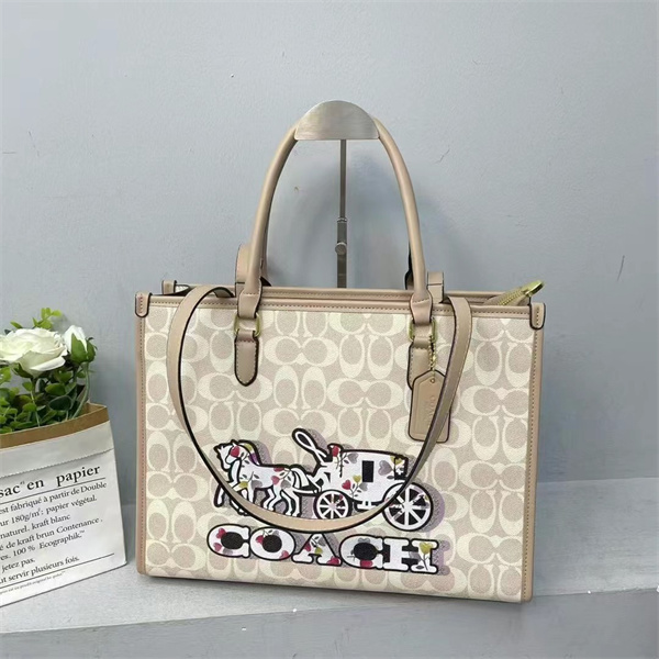 Coach bag-0215