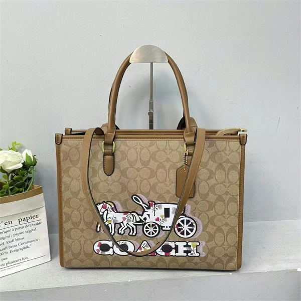 Coach bag-0216