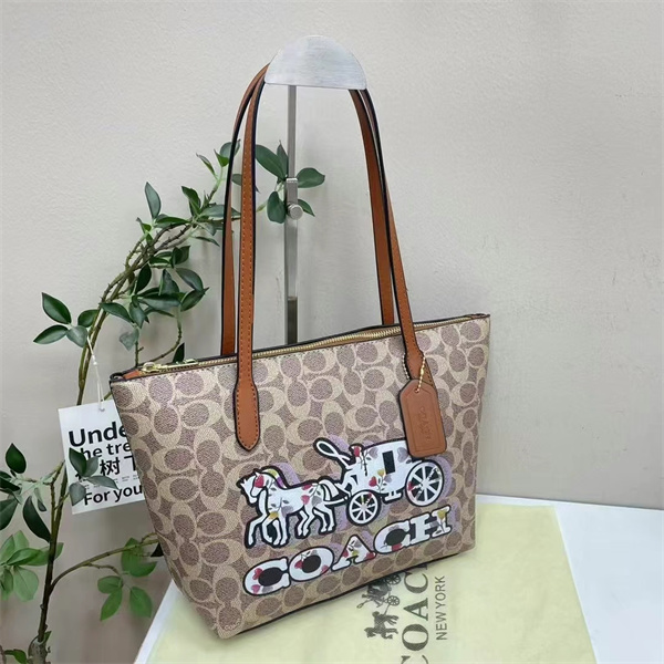 Coach bag-0220