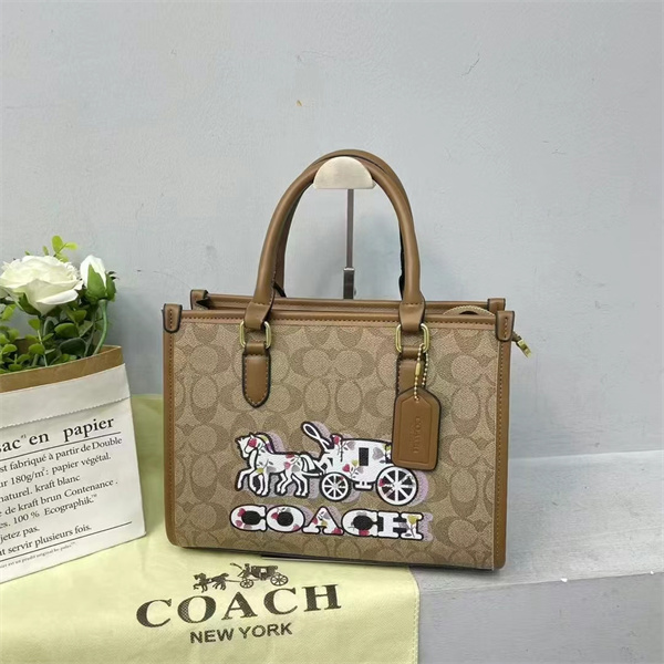 Coach bag-0225