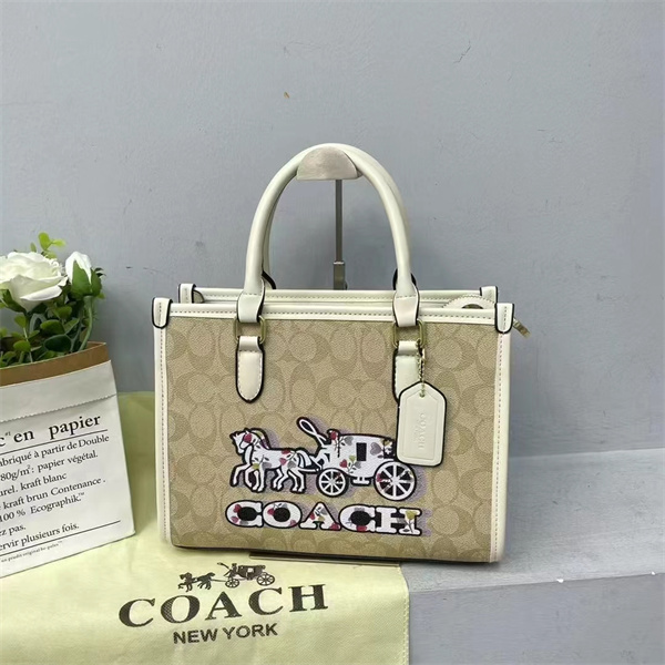 Coach bag-0227