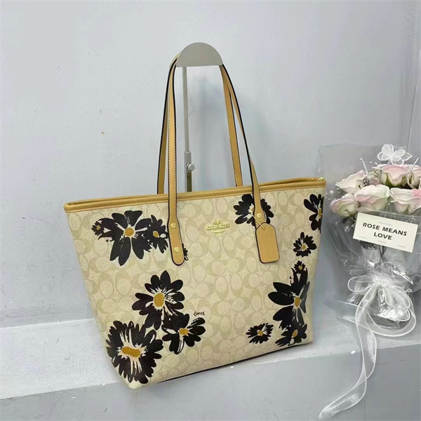 Coach bag-0230