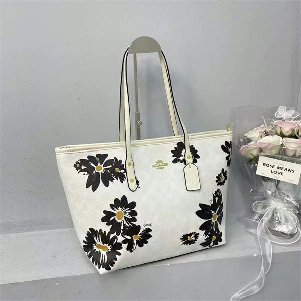 Coach bag-0231