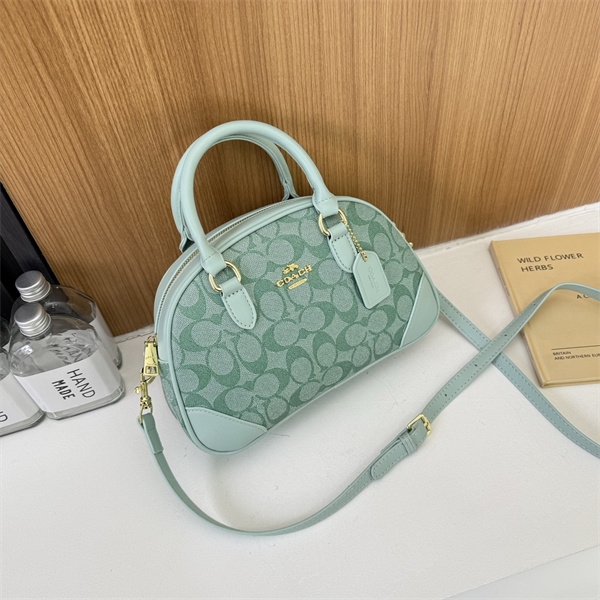 Coach bag-0233