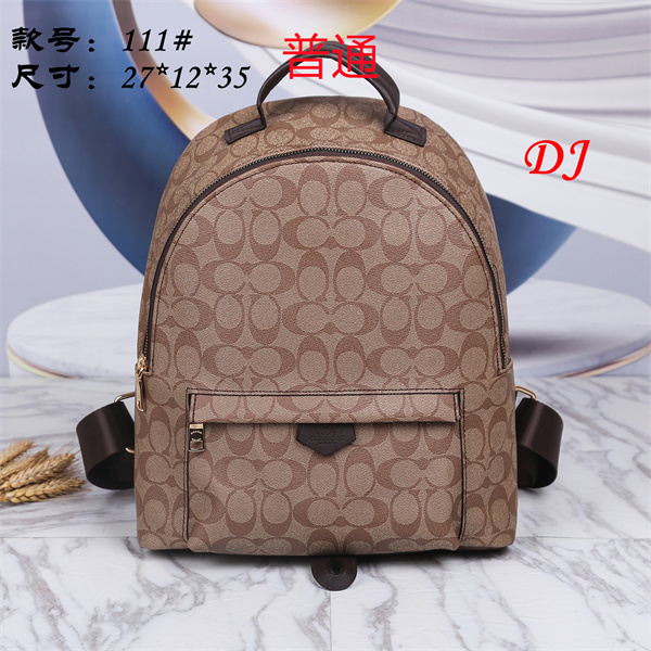 Coach bag-0024