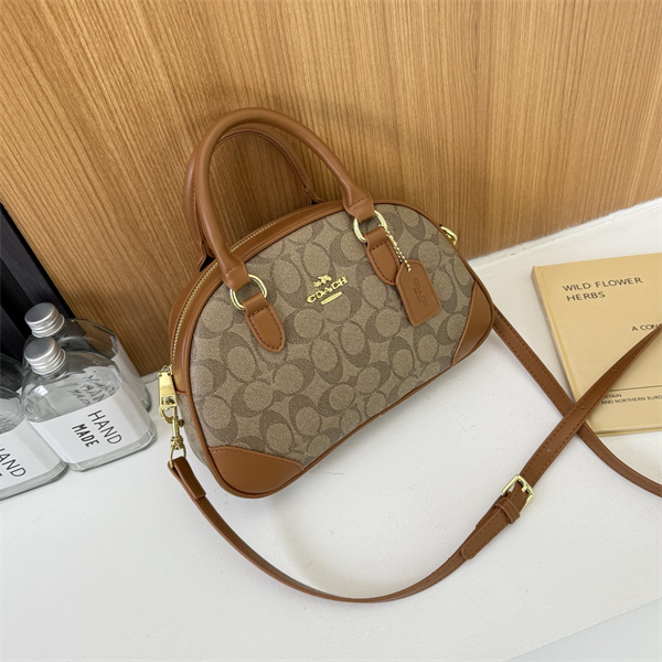 Coach bag-0240