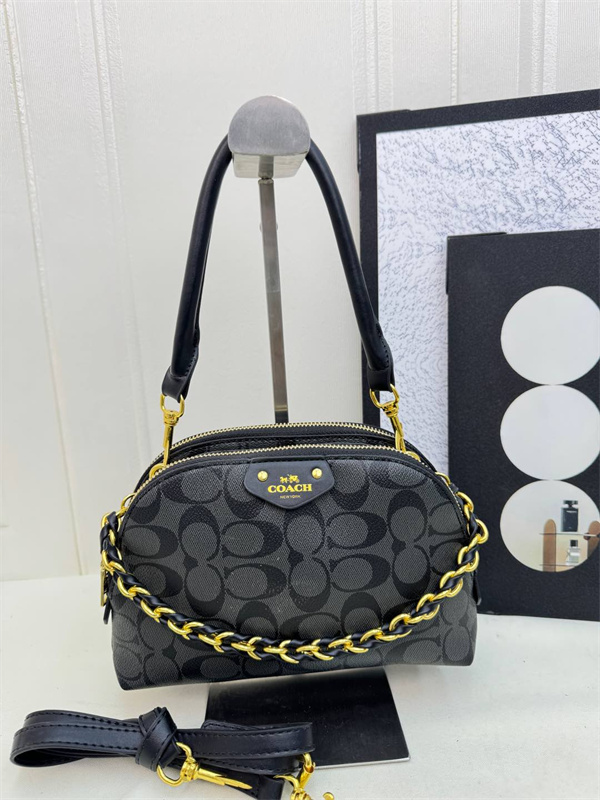 Coach bag-0262