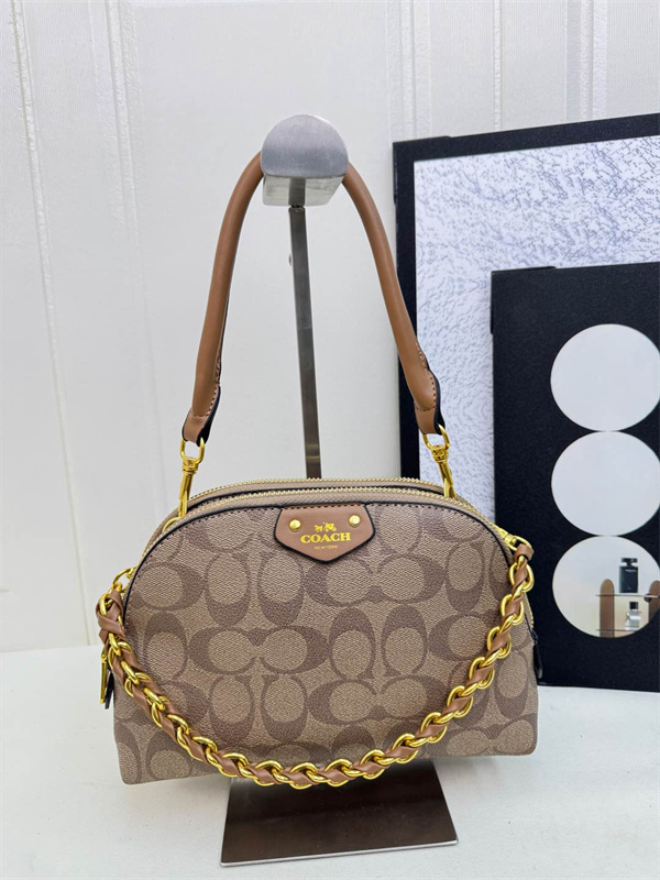Coach bag-0263