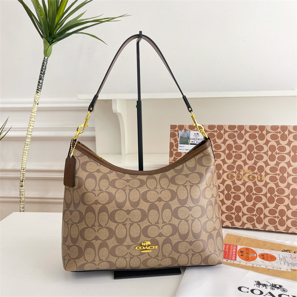 Coach bag-0266