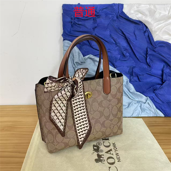 Coach bag-0290