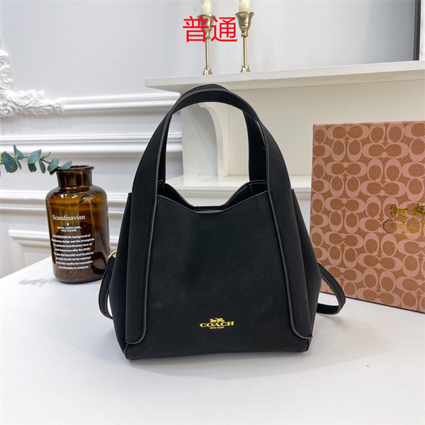 Coach bag-0292