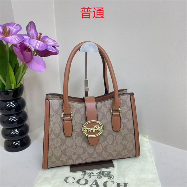Coach bag-0298