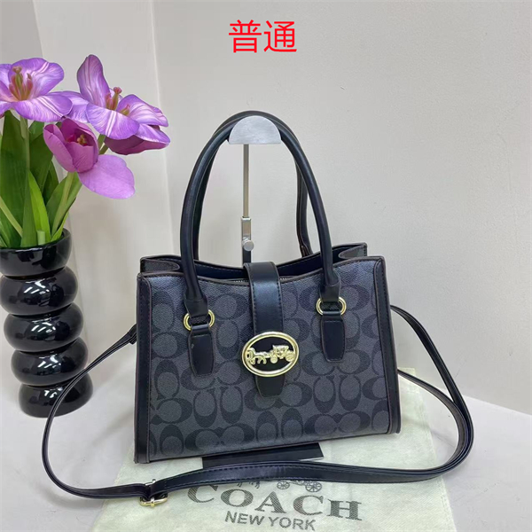 Coach bag-0299