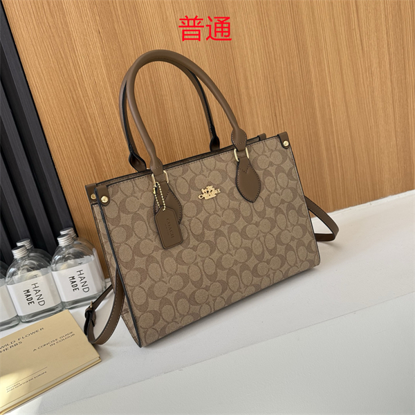 Coach bag-0305