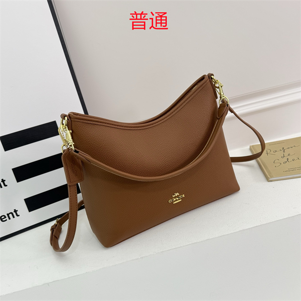 Coach bag-0309