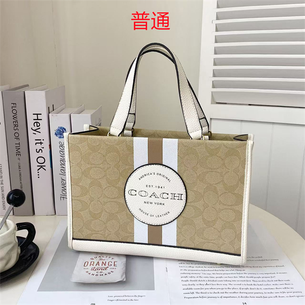 Coach bag-0316