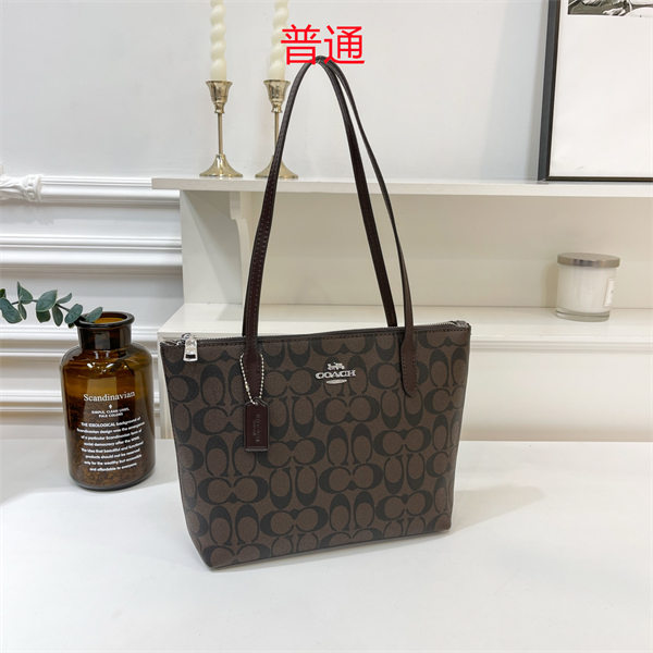 Coach bag-0321