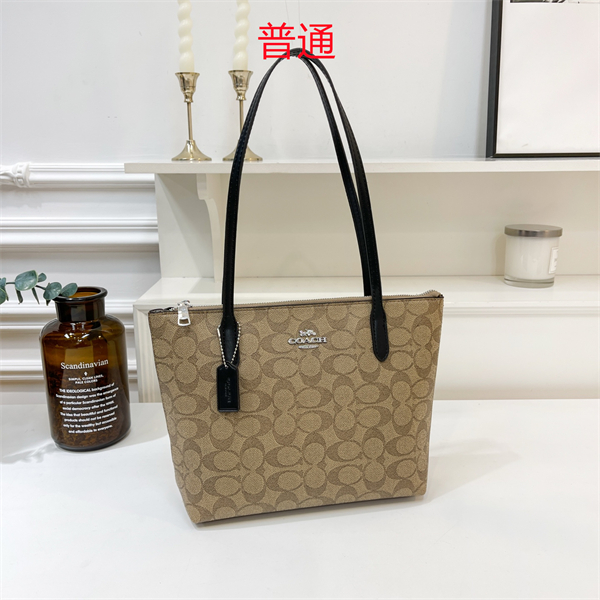 Coach bag-0322