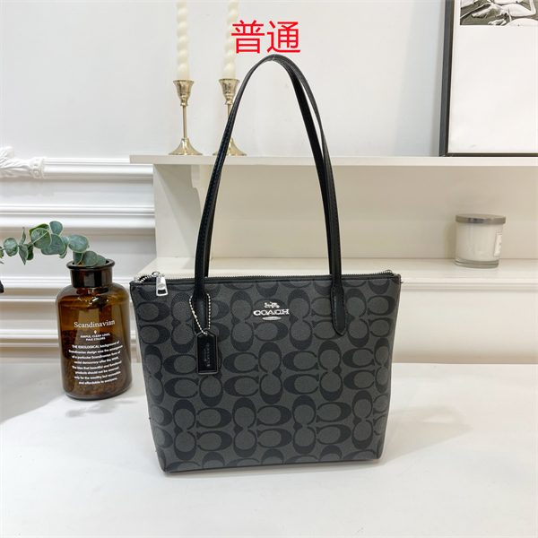 Coach bag-0324
