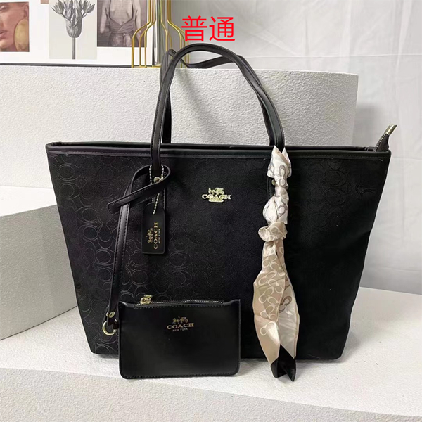 Coach bag-0326
