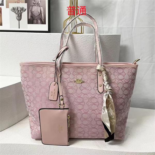Coach bag-0329