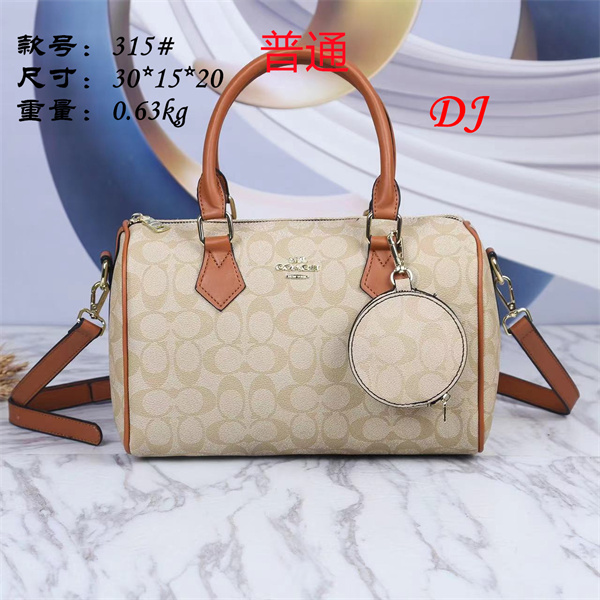 Coach bag-0034