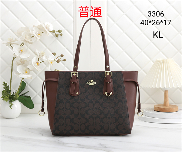 Coach bag-0342