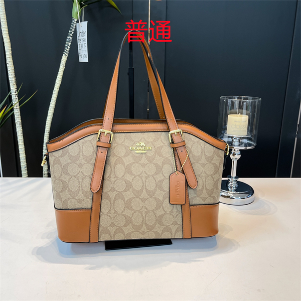 Coach bag-0351