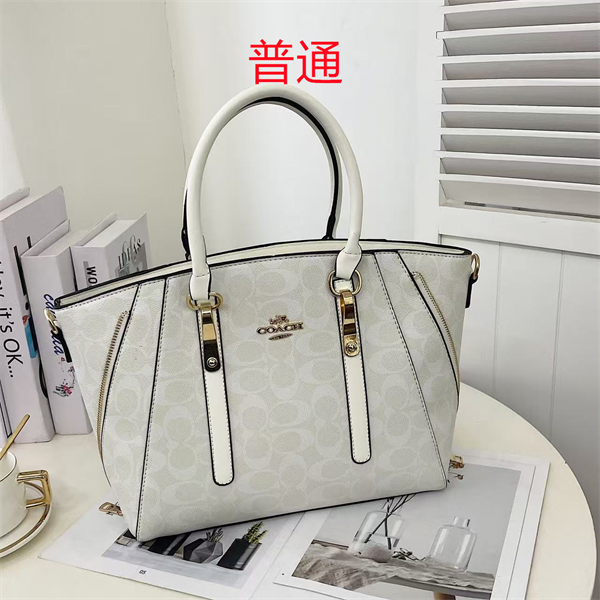 Coach bag-0369