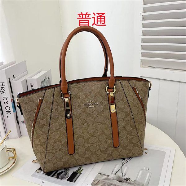 Coach bag-0370